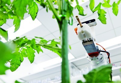 首臺全流程智能育種機(jī)器人亮相，引領(lǐng)生物科技研究新浪潮