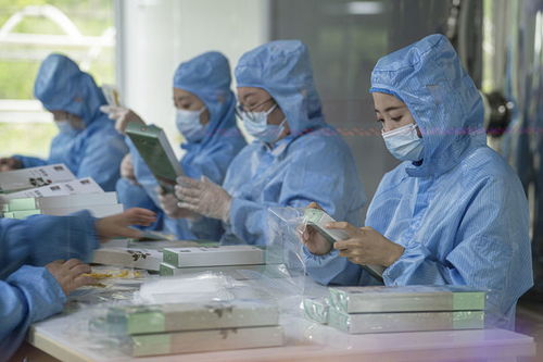 有綠、有技、有特色 鄉村振興新活力中的生物科技力量