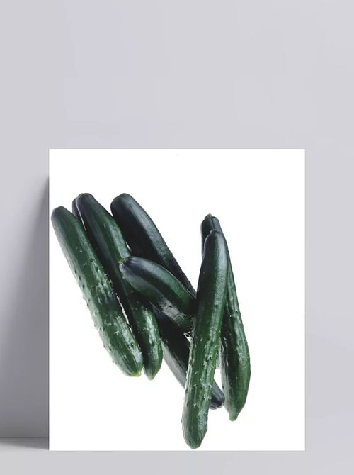 新鮮黃瓜食材 食材,食物,蔬菜,新鮮,瓜果,產(chǎn)品實物,設計元素 懨懨小生