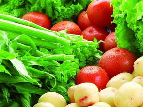 群英薈萃農產品 農民怎樣才能把自己的農產品銷售到全國各地呢