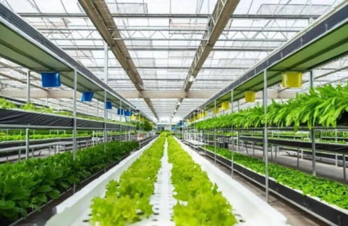 農業產業周報 新希望 天禾 桃李面包 慧辰 京基智農最新動態