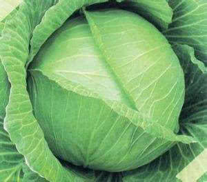 這菜是天然 血管清道夫 ,幾毛錢一大碗,每天吃點,人更年輕態(tài)