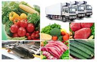 工廠飯?zhí)檬卟伺渌? class=