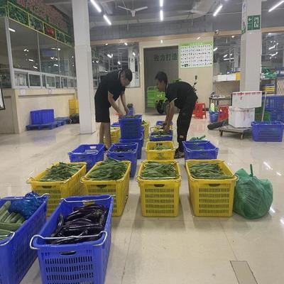 坑梓蔬菜配送公司 批發蔬菜公司 _大型的蔬菜配送中心_蔬菜種植基地