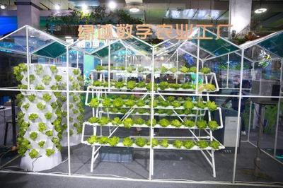 新主體、新技術、新產品 從今年農博會看&ldquo;浙&rdquo;有新能力