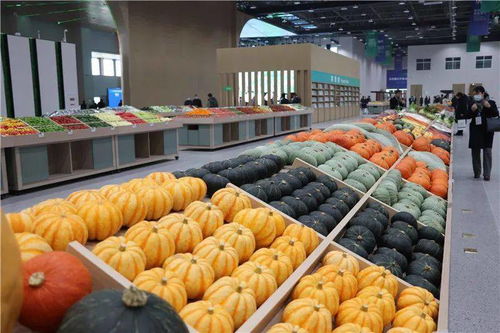 青島農(nóng)業(yè) 國際客廳 開門納客,2022年建成后預計可實現(xiàn)年產(chǎn)值約120億元