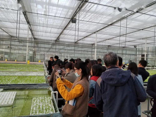 廊坊百姓的數(shù)字生活 重點網(wǎng)絡媒體集中采訪行走進永清