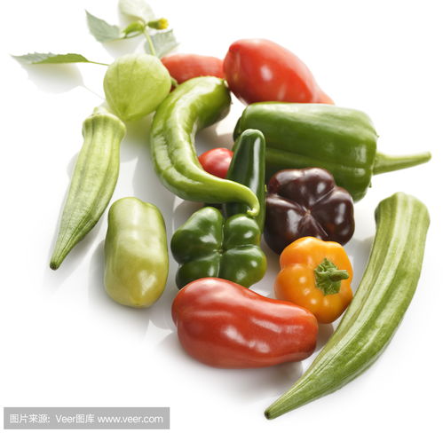 農副產品收購助力新鮮蔬菜產業發展