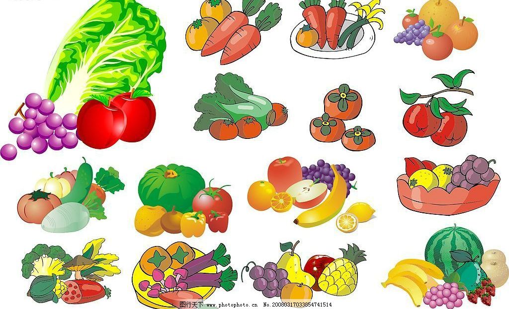 蔬菜之韻 從田園到餐桌的視覺盛宴