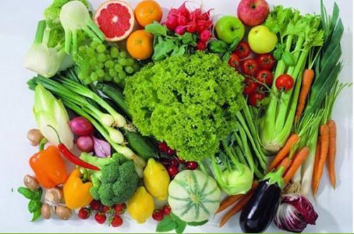 守護餐桌，從田間到食堂——一家蔬菜運輸公司的新鮮與安全之道